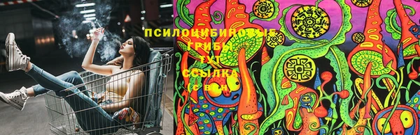 бутик Бородино