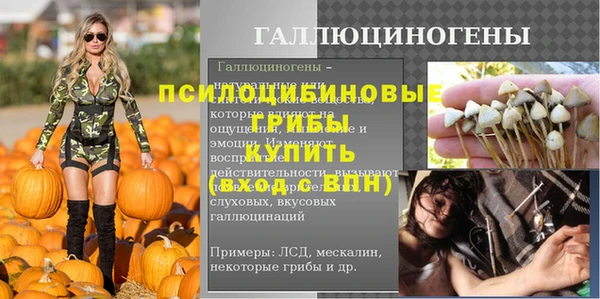 амф Бугульма