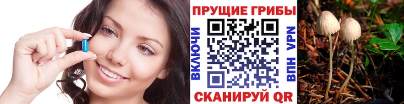 Псилоцибиновые грибы Psilocybe  как найти наркотики  Кодинск 